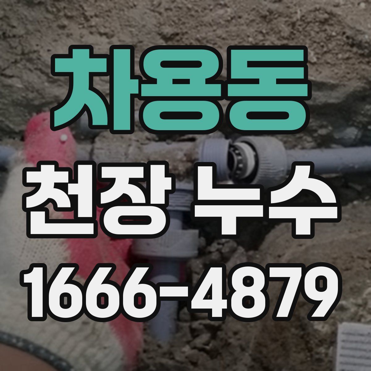 차용동 천장 누수