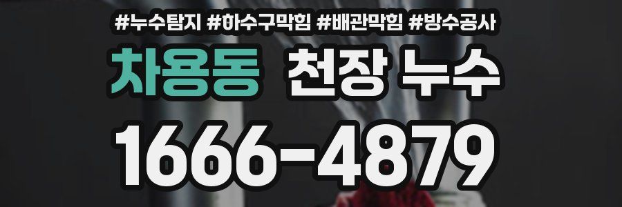 차용동 천장 누수