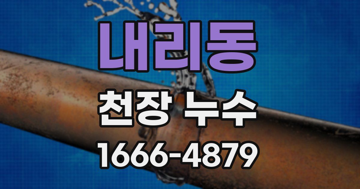내리동 천장 누수