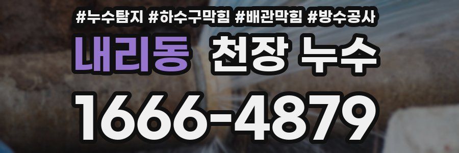 내리동 천장 누수