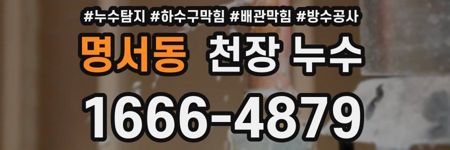 명서동 천장 누수