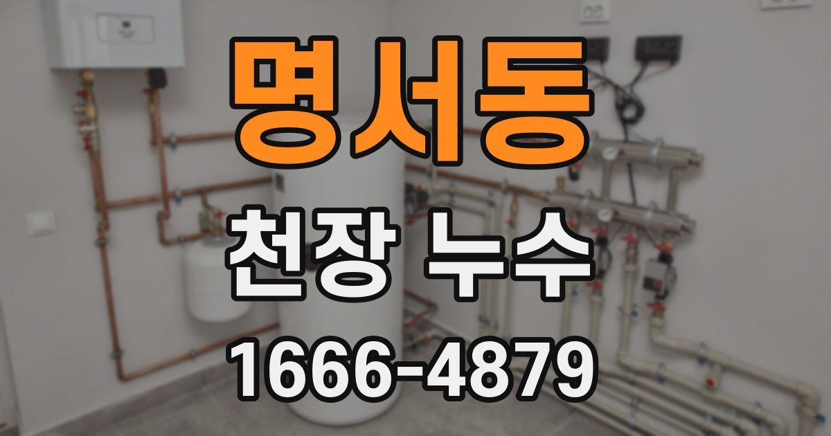 명서동 천장 누수