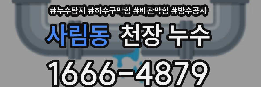 사림동 천장 누수