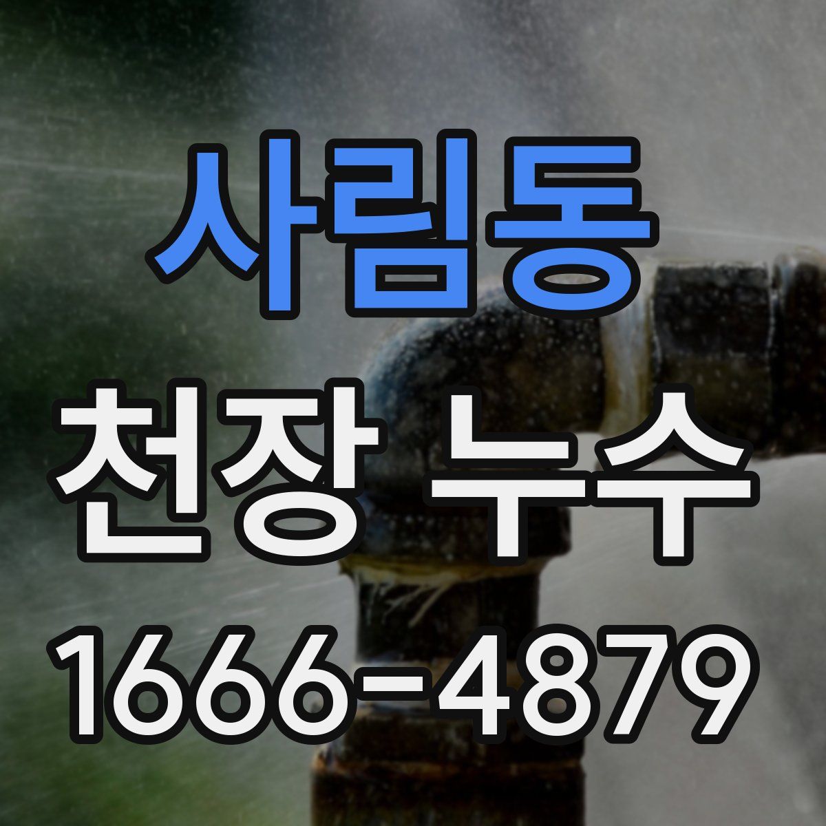 사림동 천장 누수