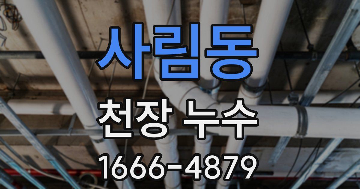 사림동 천장 누수