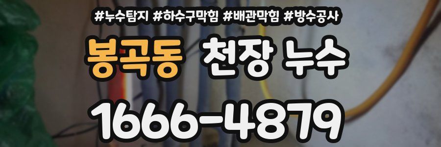 봉곡동 천장 누수