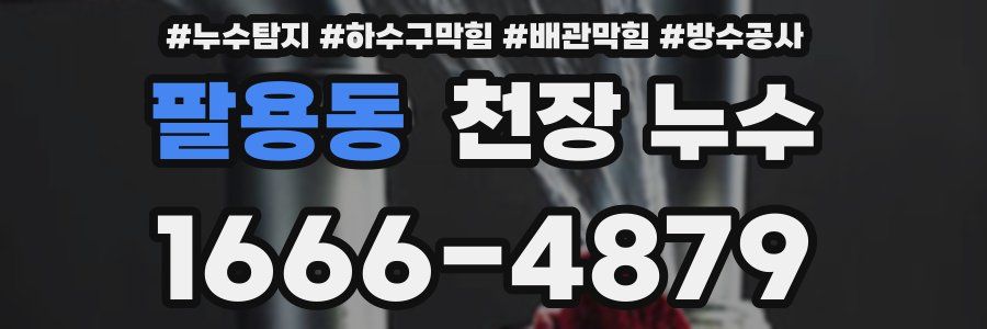 팔용동 천장 누수