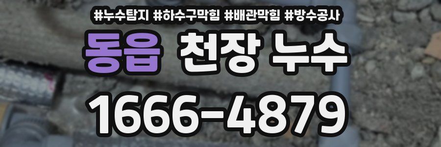 동읍 천장 누수