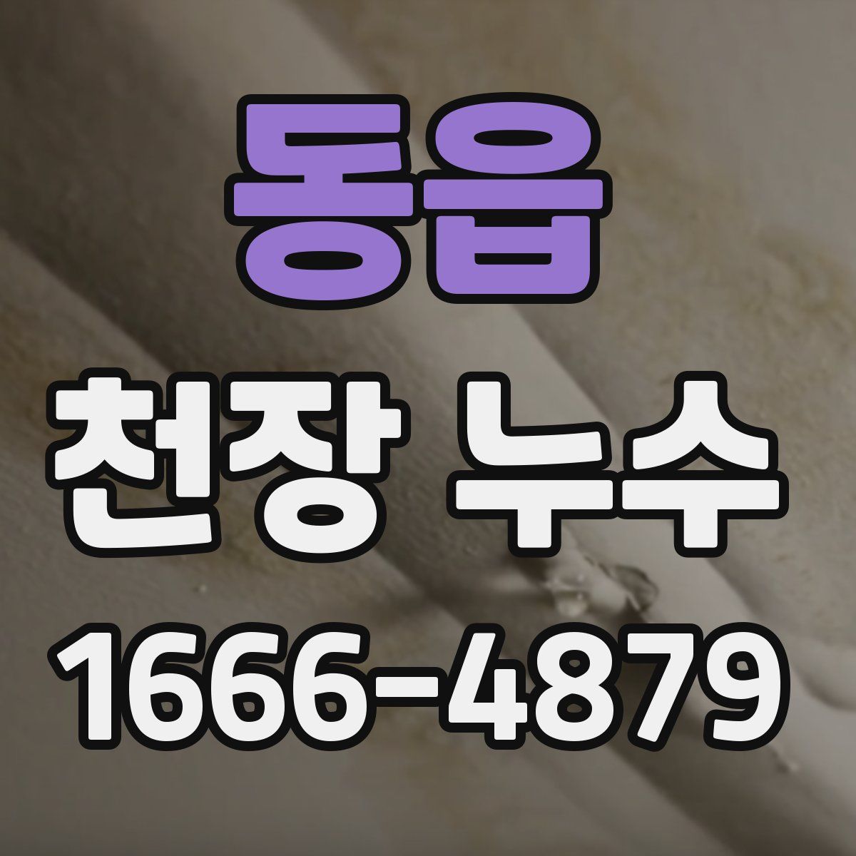 동읍 천장 누수