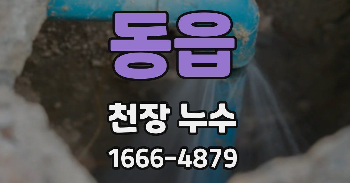 동읍 천장 누수