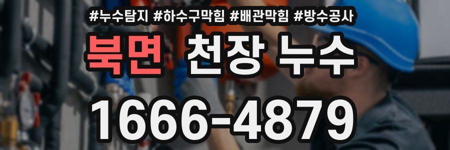 북면 천장 누수