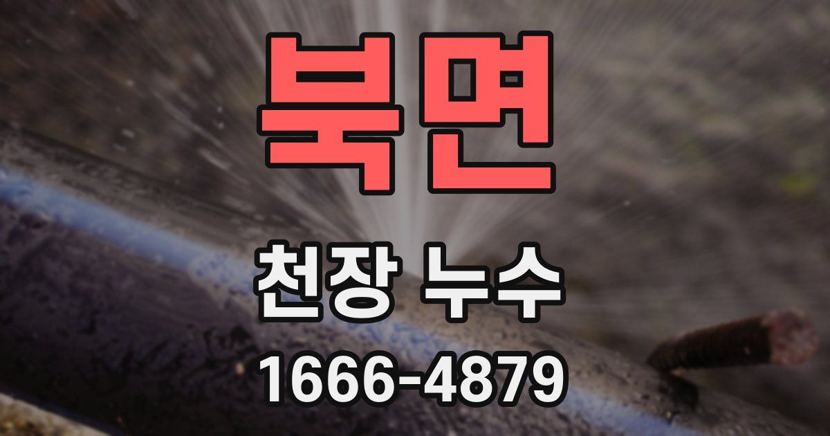 북면 천장 누수