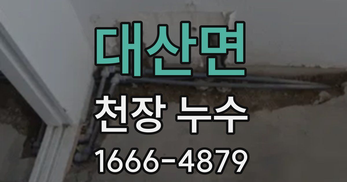 대산면 천장 누수