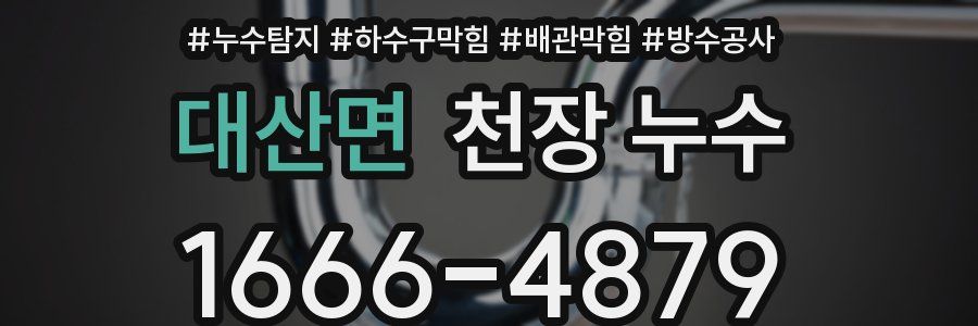 대산면 천장 누수