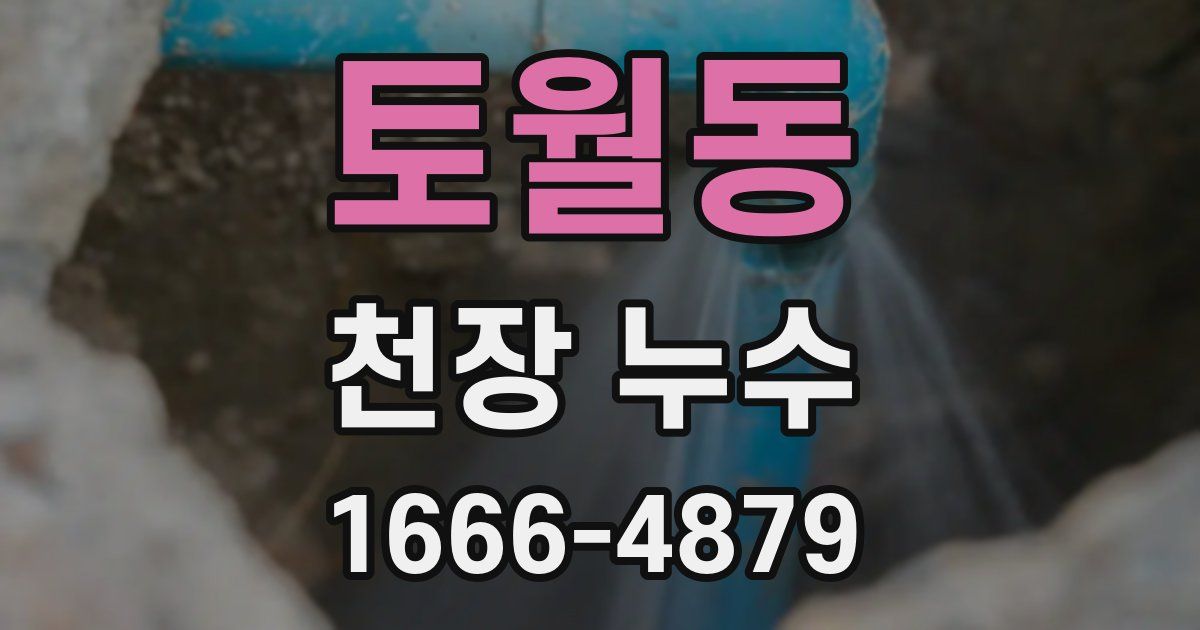 토월동 천장 누수