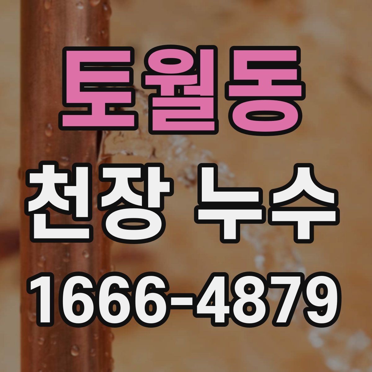 토월동 천장 누수