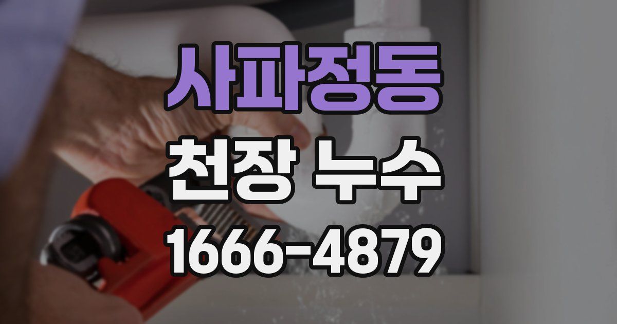 사파정동 천장 누수