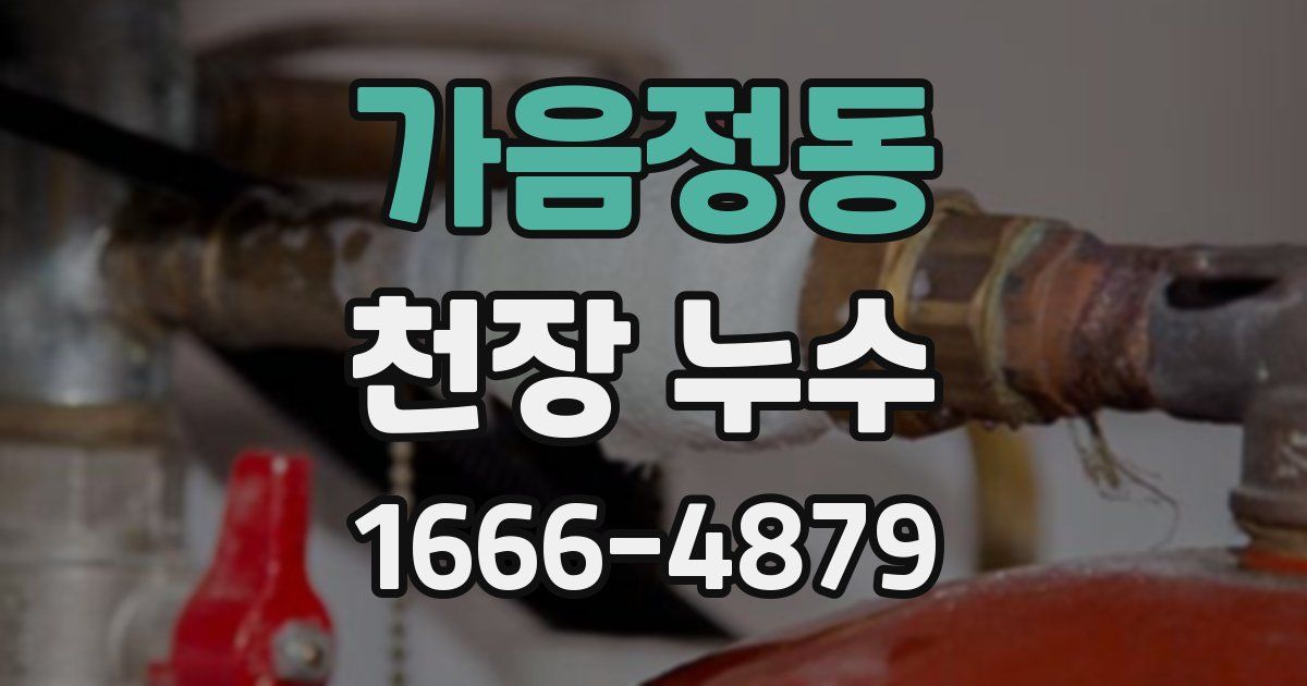 가음정동 천장 누수