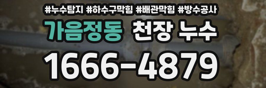 가음정동 천장 누수