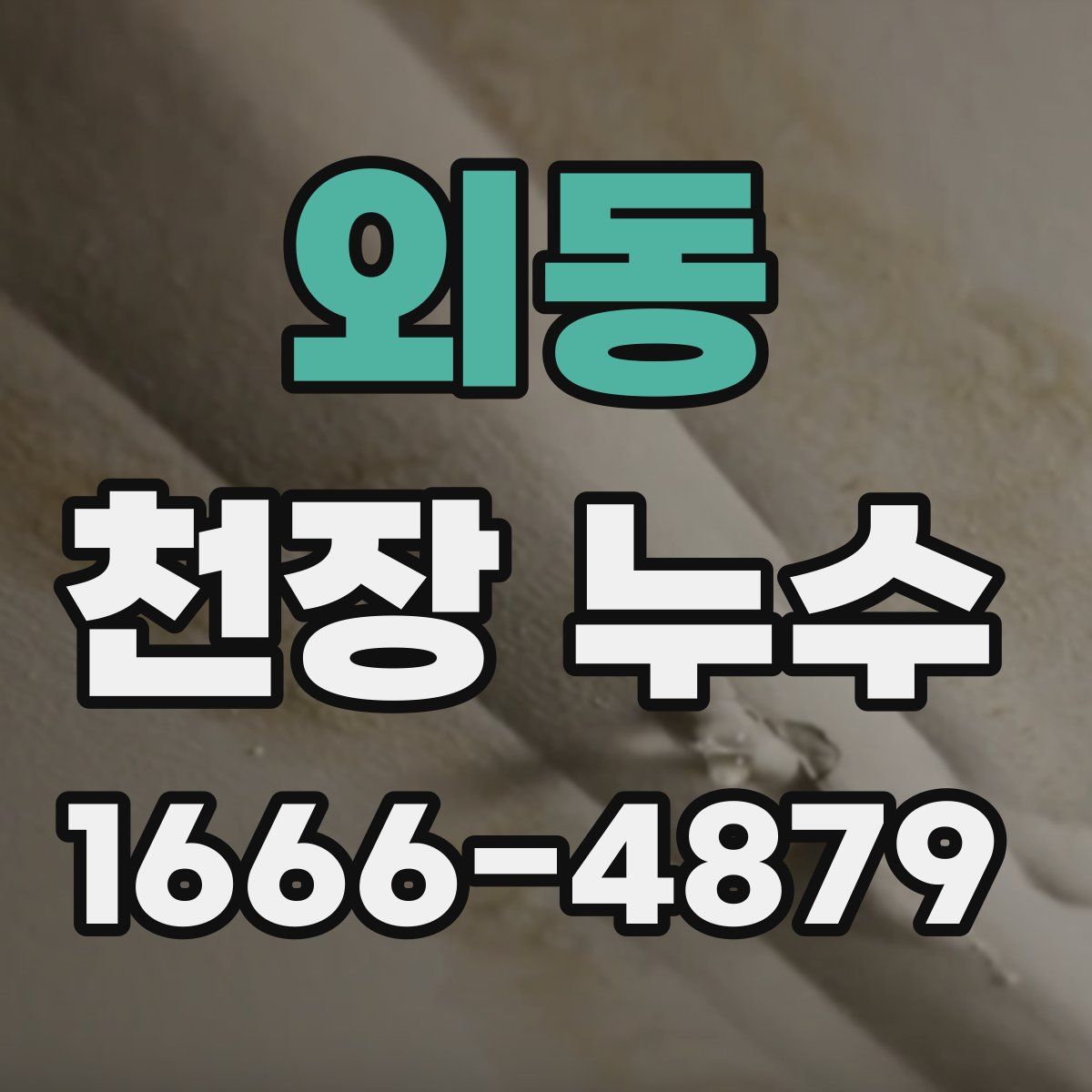 외동 천장 누수