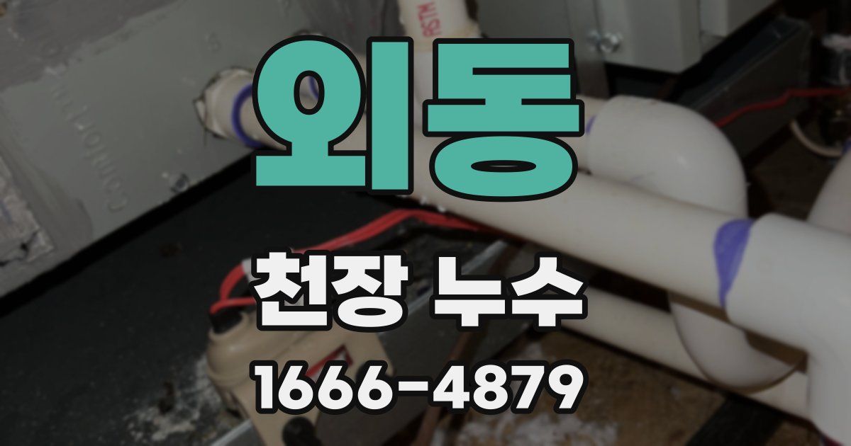 외동 천장 누수