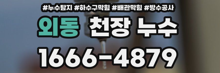 외동 천장 누수