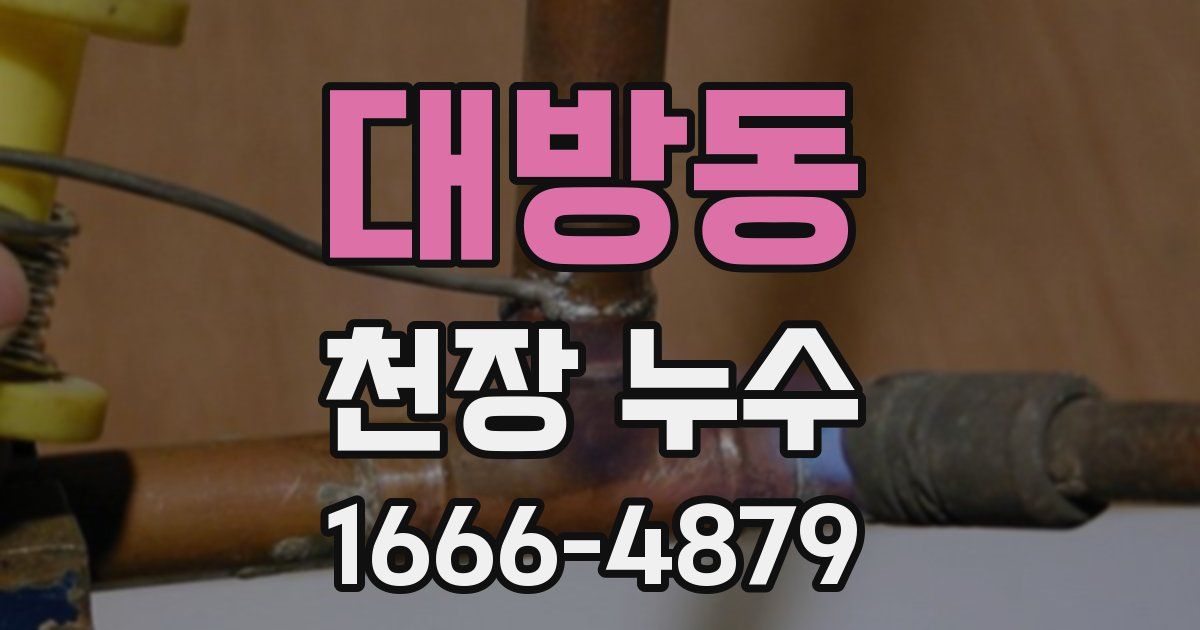 대방동 천장 누수