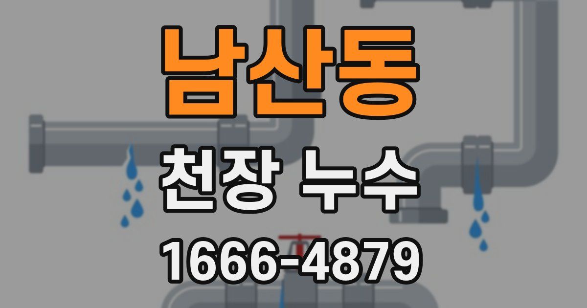 남산동 천장 누수