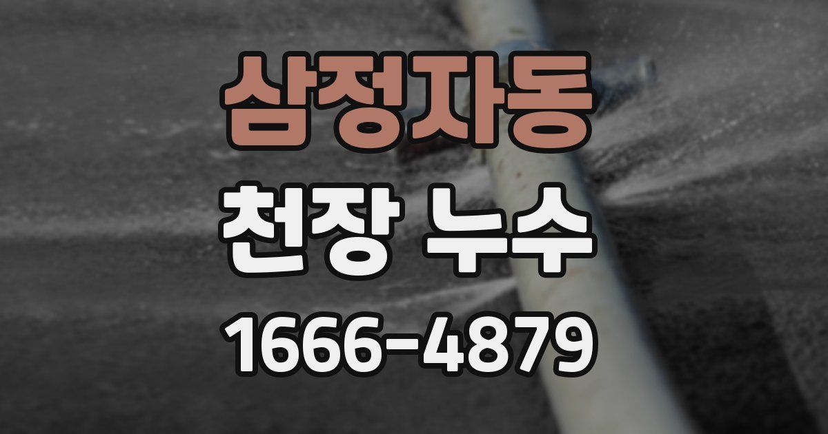 삼정자동 천장 누수