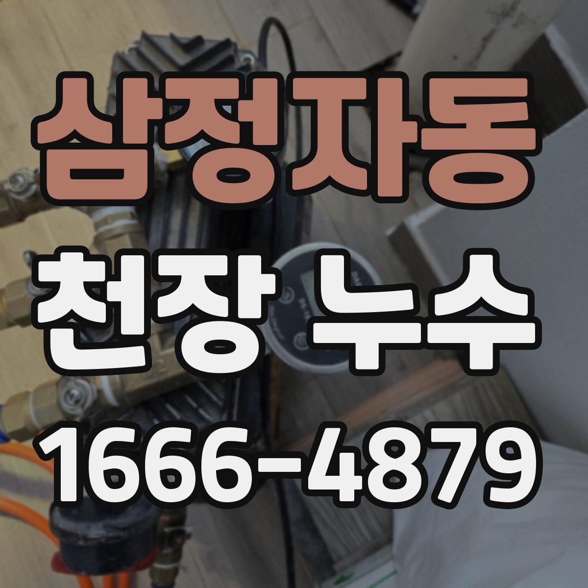 삼정자동 천장 누수