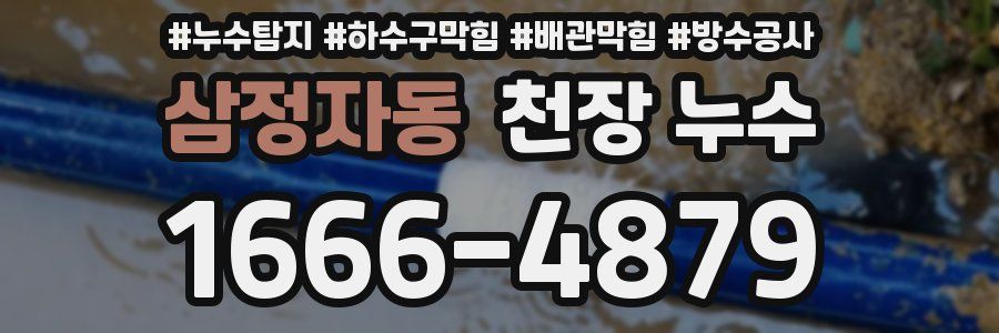 삼정자동 천장 누수
