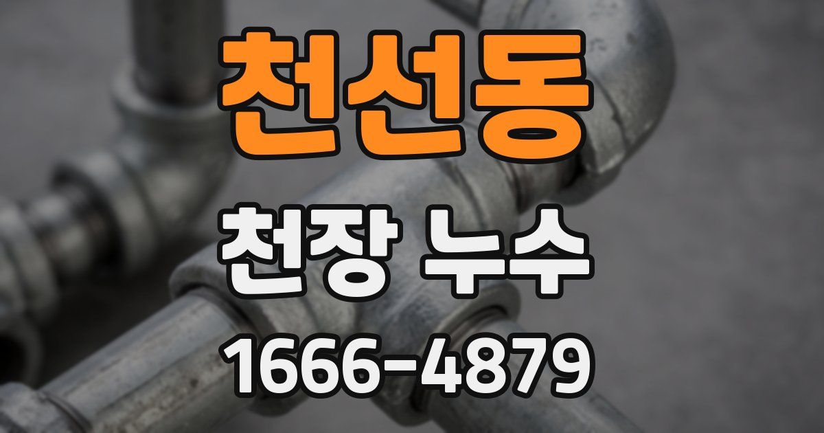 천선동 천장 누수