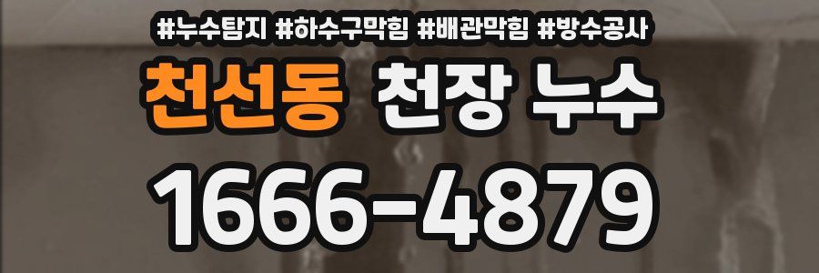 천선동 천장 누수