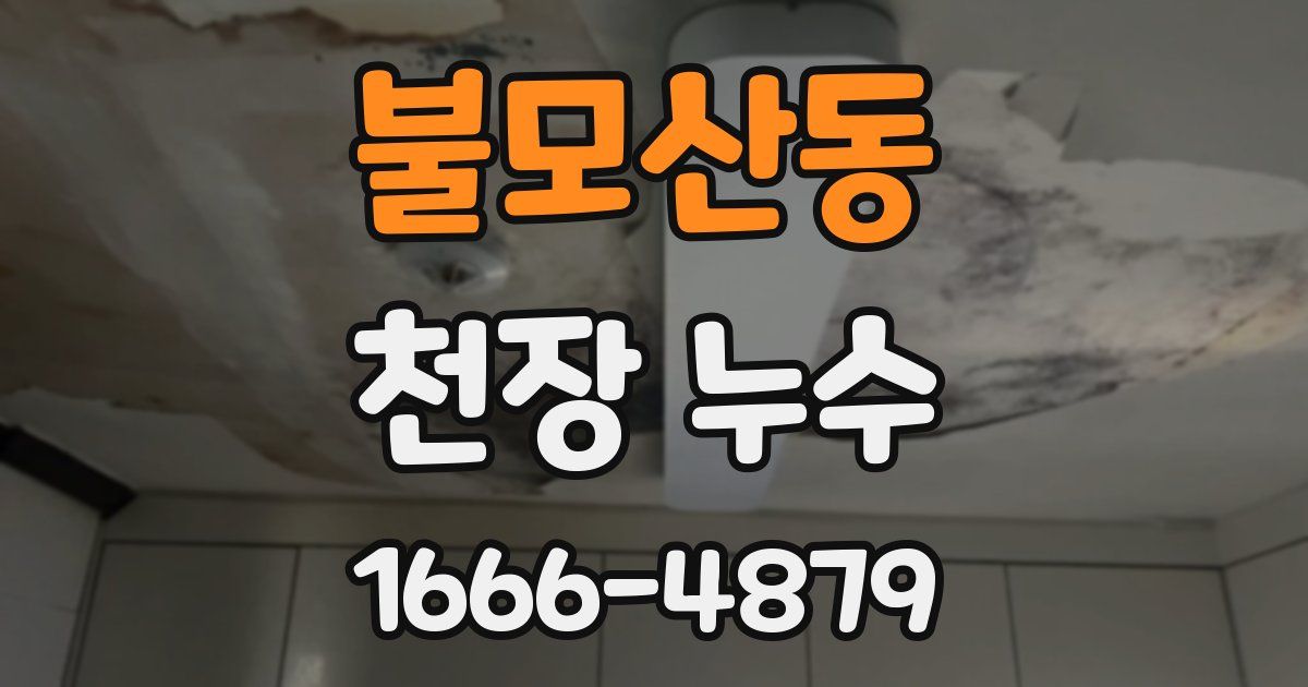 불모산동 천장 누수