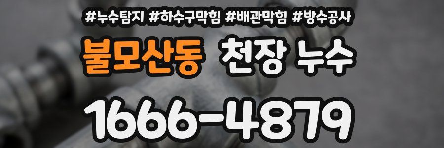 불모산동 천장 누수