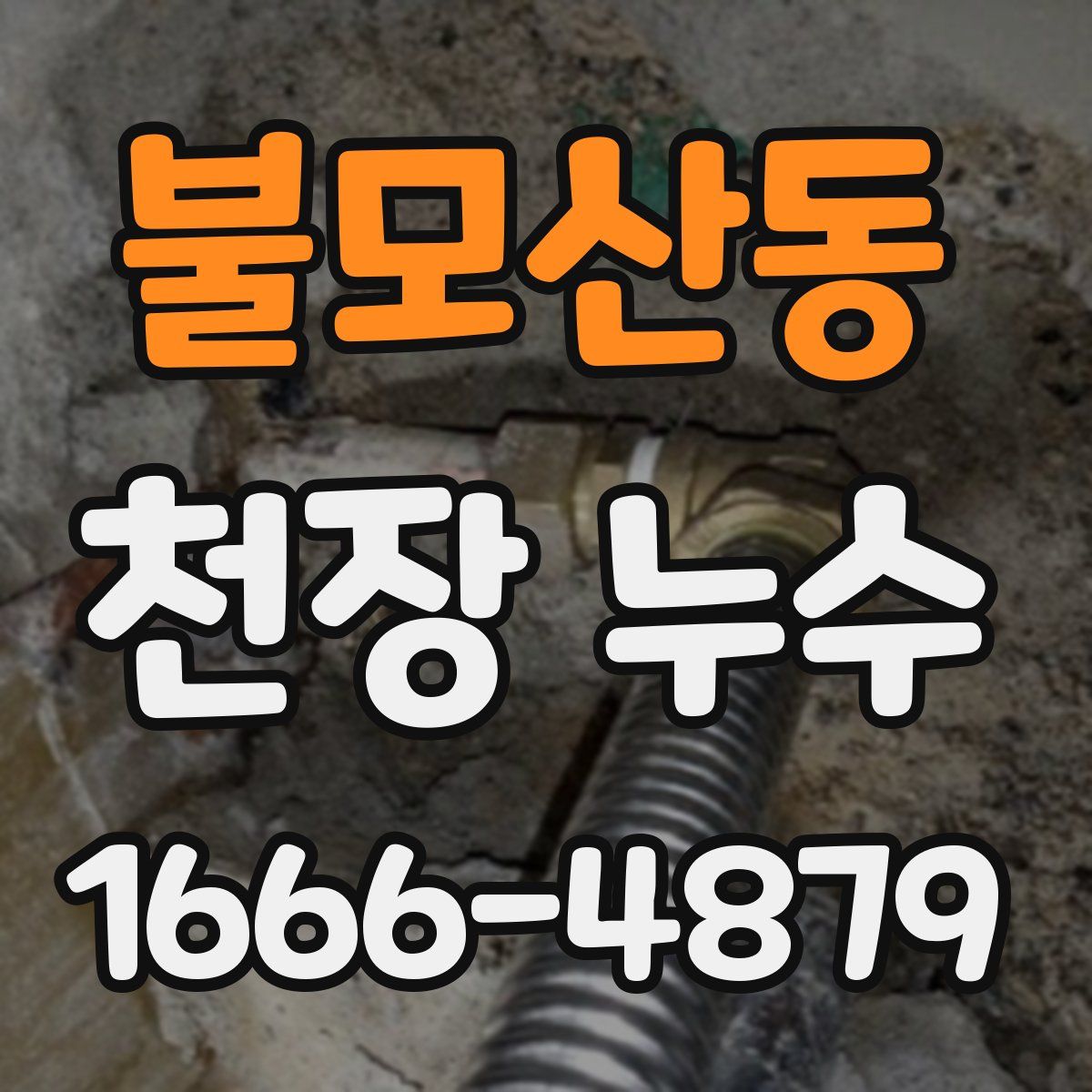 불모산동 천장 누수