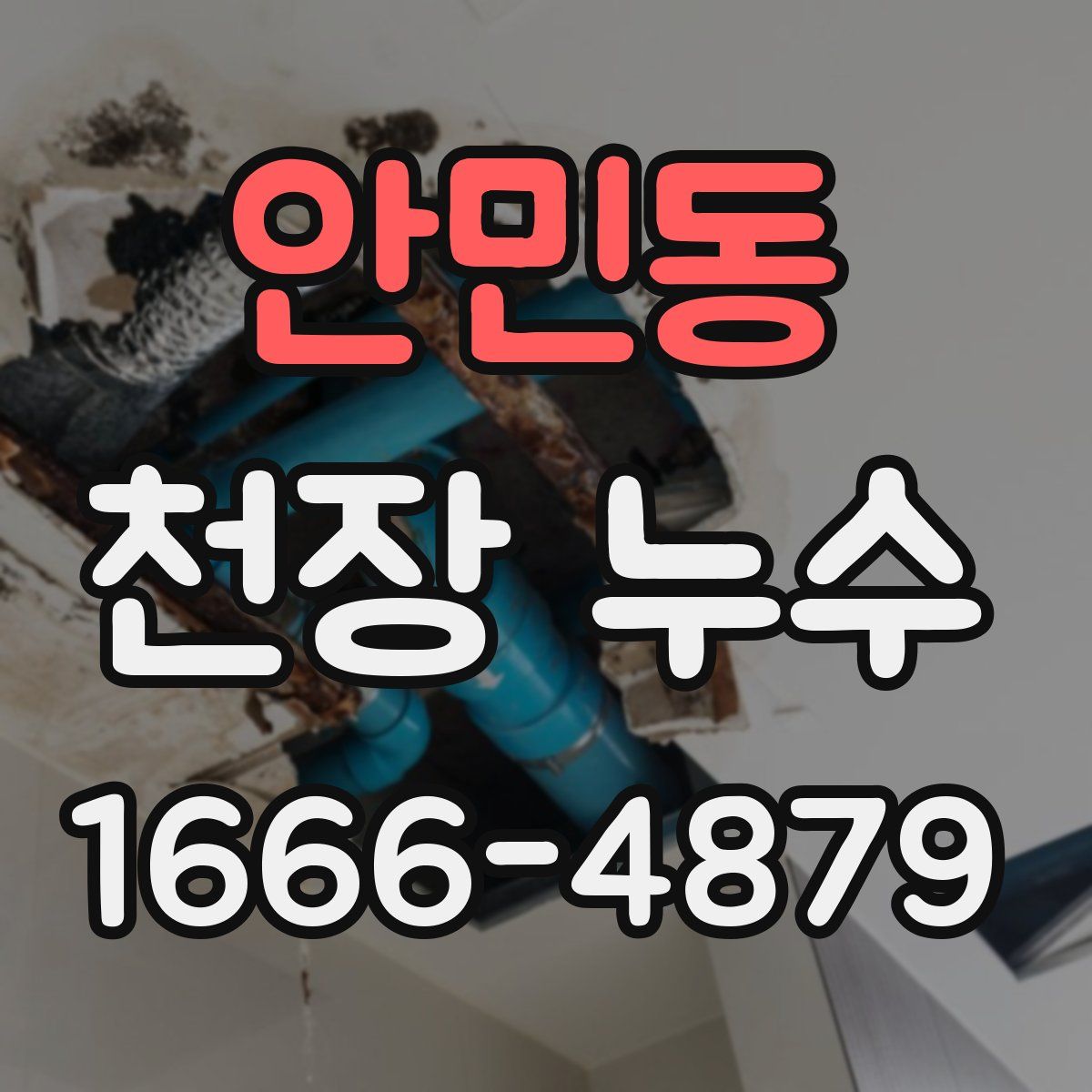 안민동 천장 누수