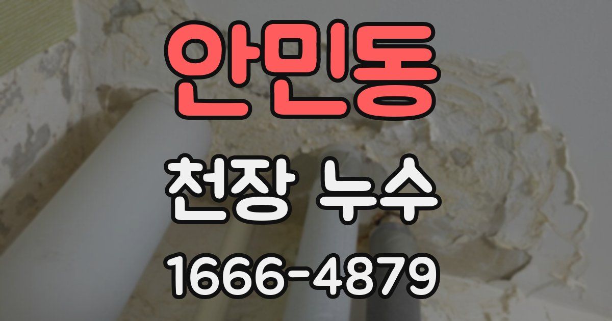 안민동 천장 누수