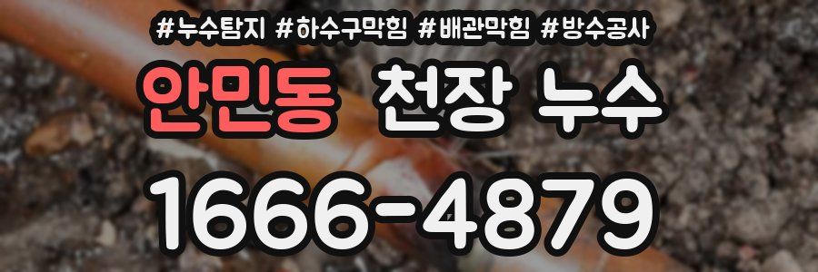 안민동 천장 누수