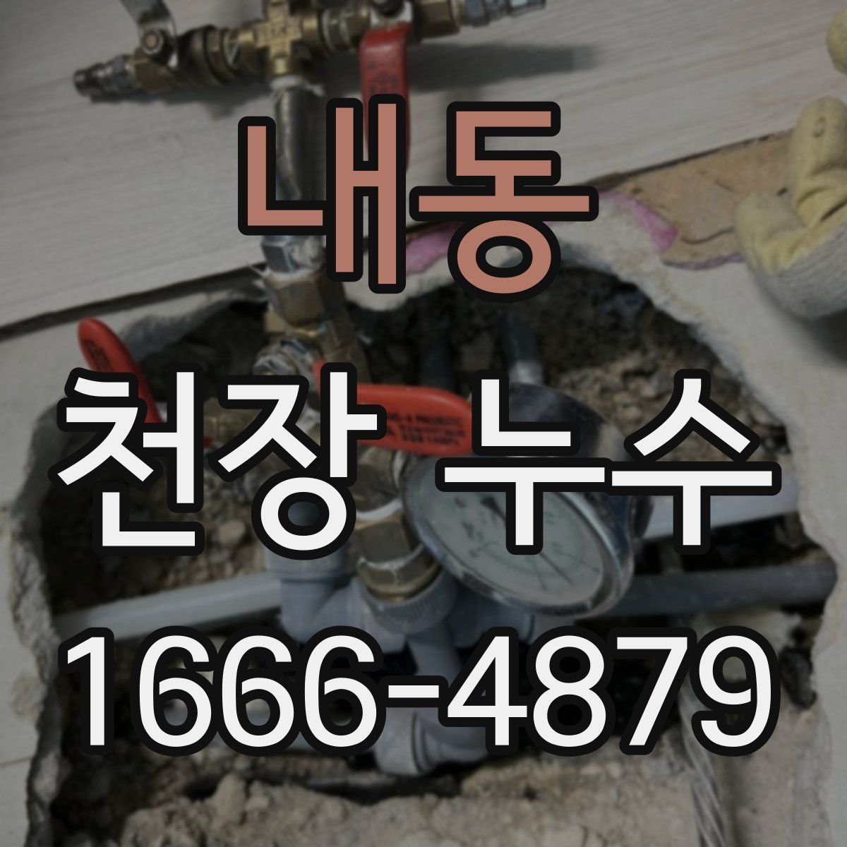 내동 천장 누수