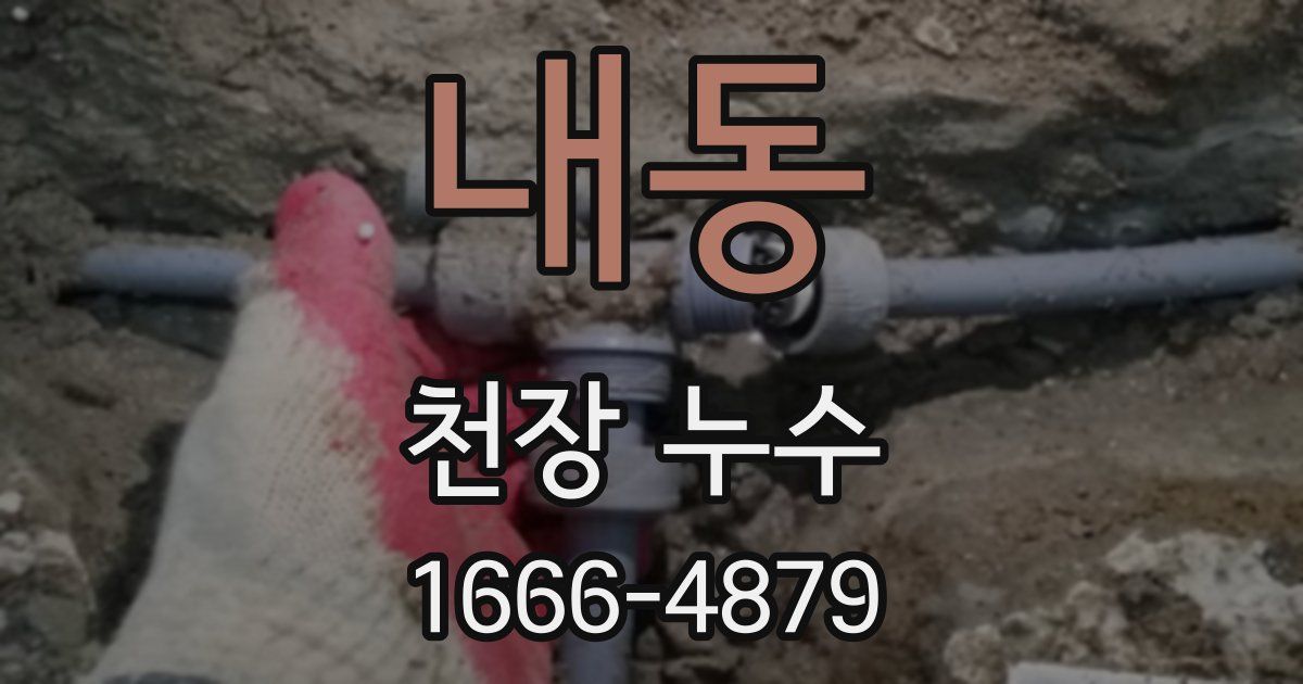 내동 천장 누수