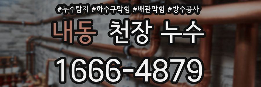 내동 천장 누수