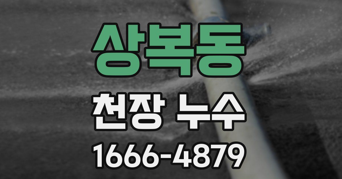 상복동 천장 누수