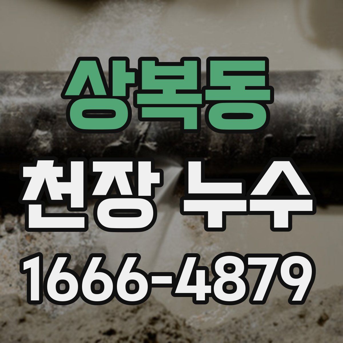 상복동 천장 누수