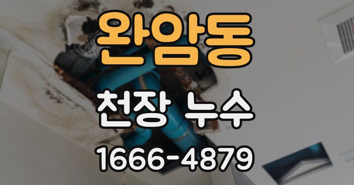 완암동 천장 누수