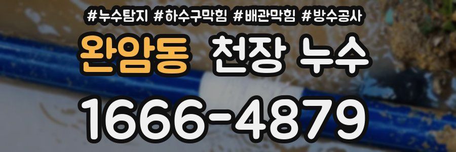 완암동 천장 누수