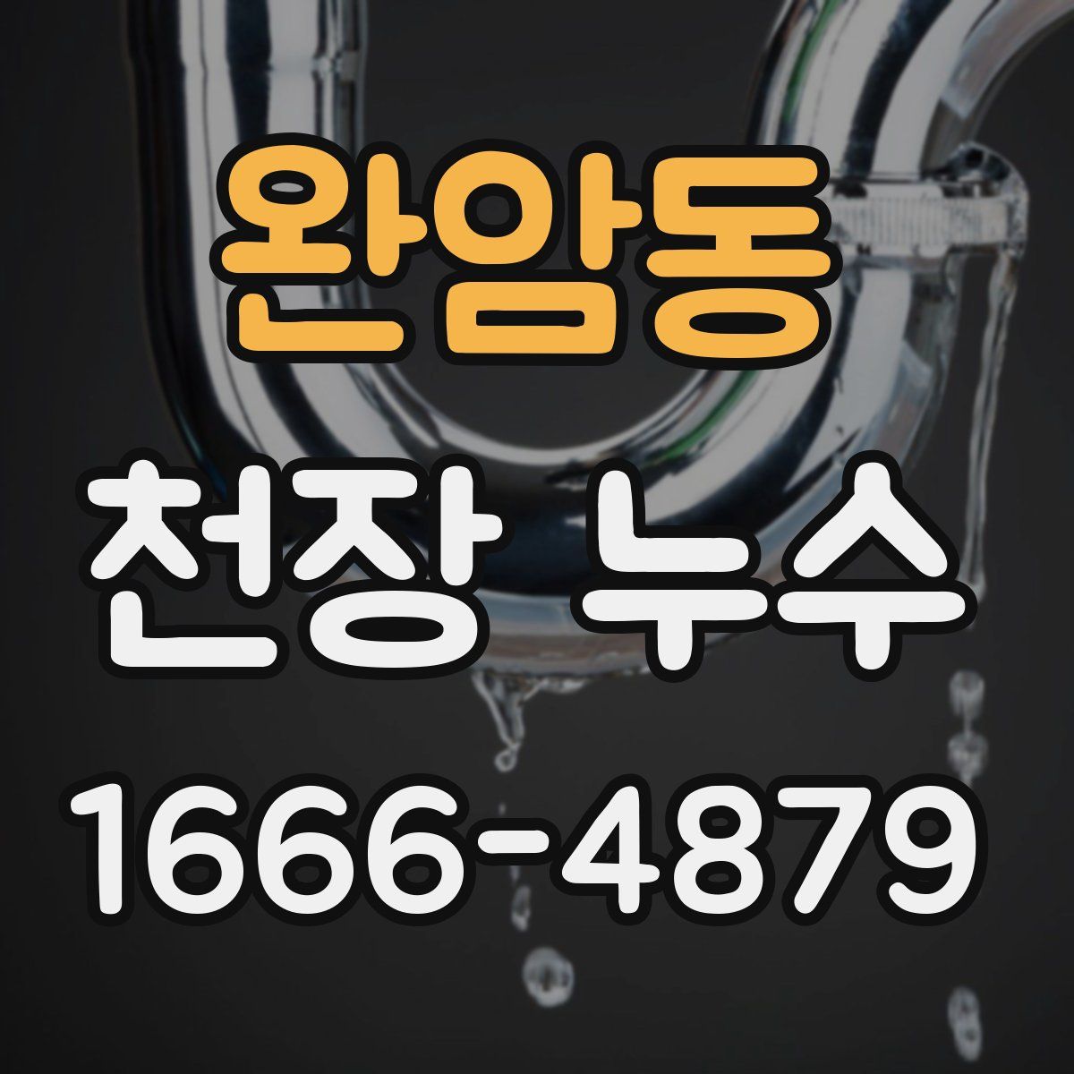 완암동 천장 누수