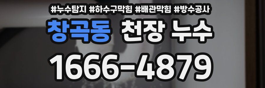 창곡동 천장 누수
