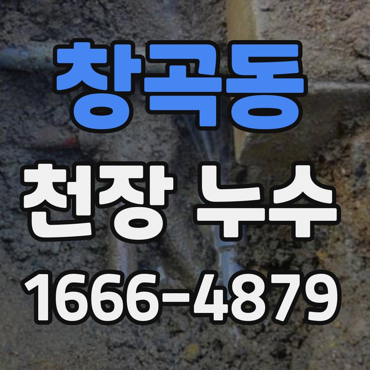 창곡동 천장 누수