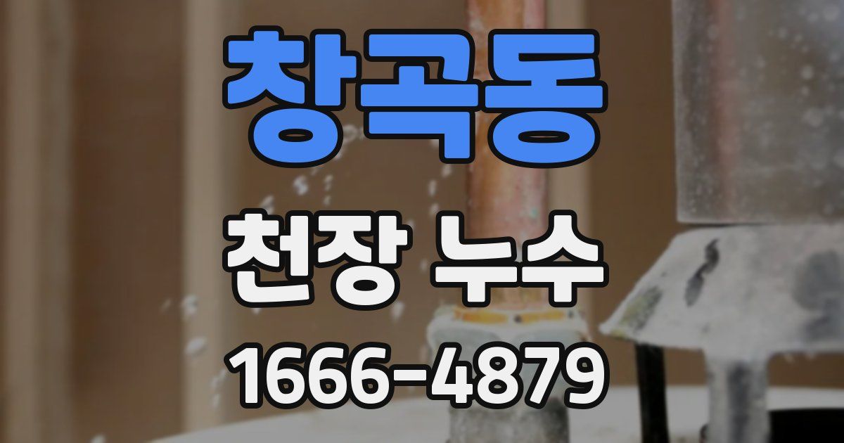 창곡동 천장 누수